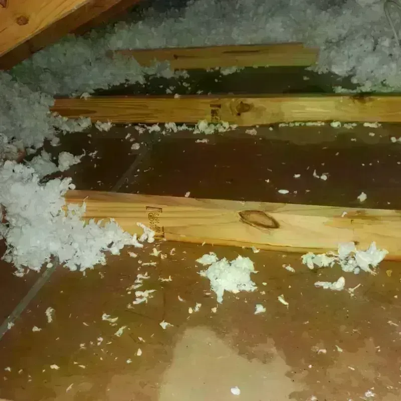 Attic Water Damage in Nashua, IA